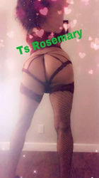 Escorts Nashville, Tennessee Hot Latin trans ready for 🍑 or 🍆