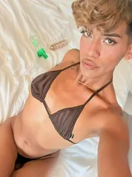 Escorts Dallas, Texas Your Femboy Fantasy