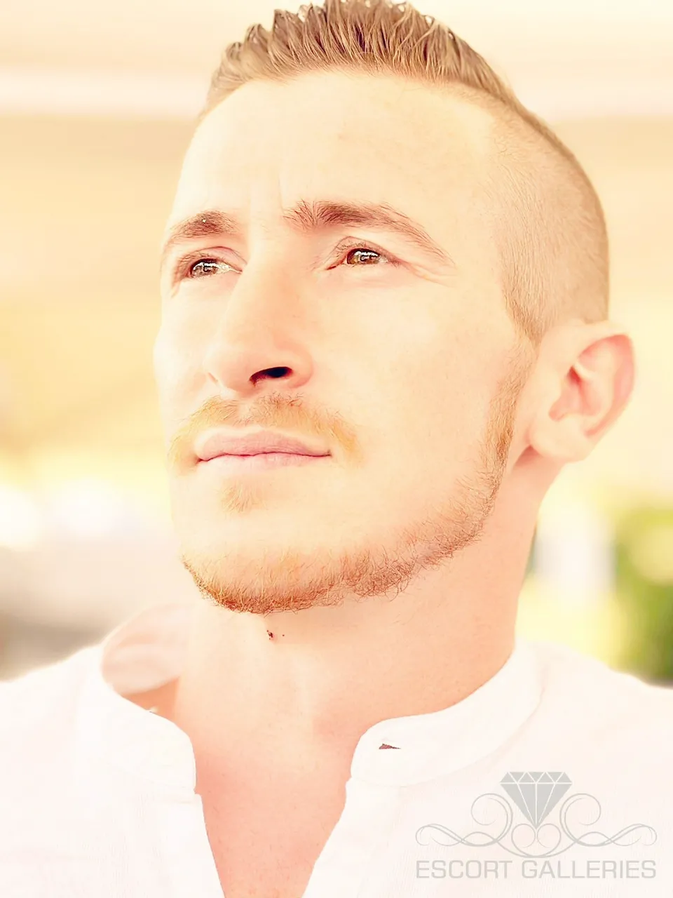 Escorts Germany Mike Voss