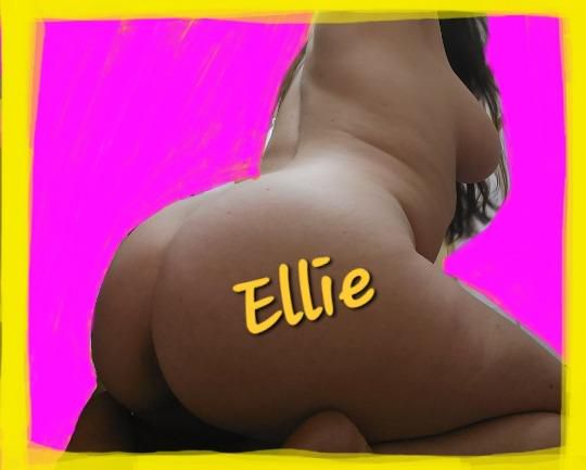 Escorts Tampa, Florida Ellie