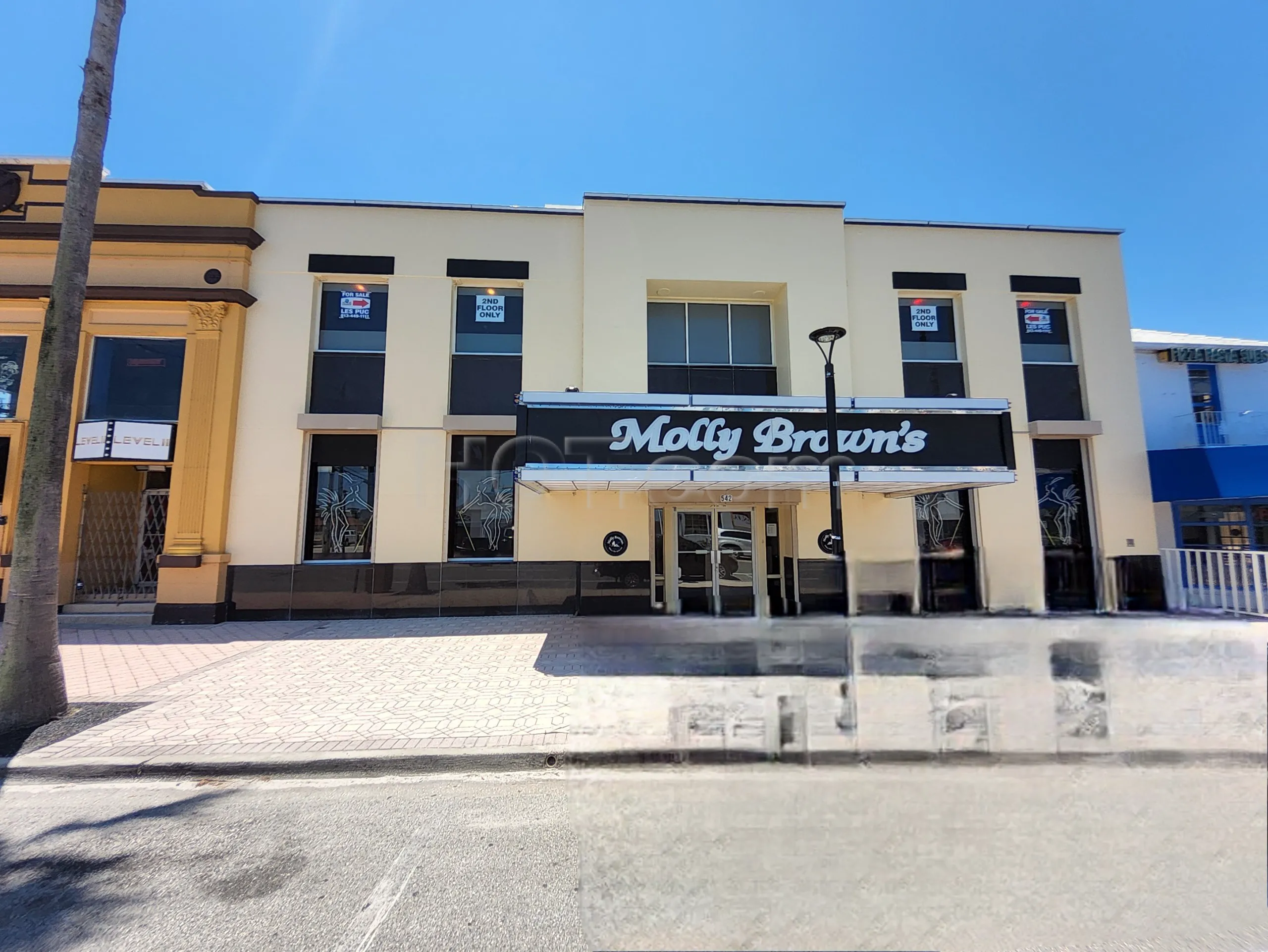 Daytona Beach, Florida Molly Browns