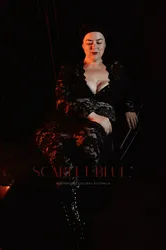 Escorts Melbourne, Australia Sultry Sarah Robbins 


