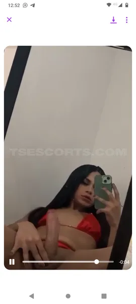 Escorts Medellin, Colombia Conejita caliente 🐰