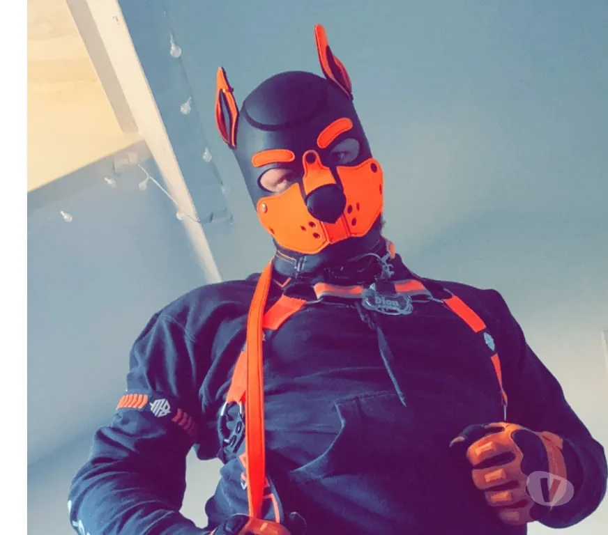 Escorts Kingston upon Hull, England Fancy walkies? Male 29