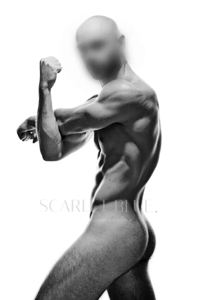 Escorts Sydney, Australia Alexios Max - male Escort 


