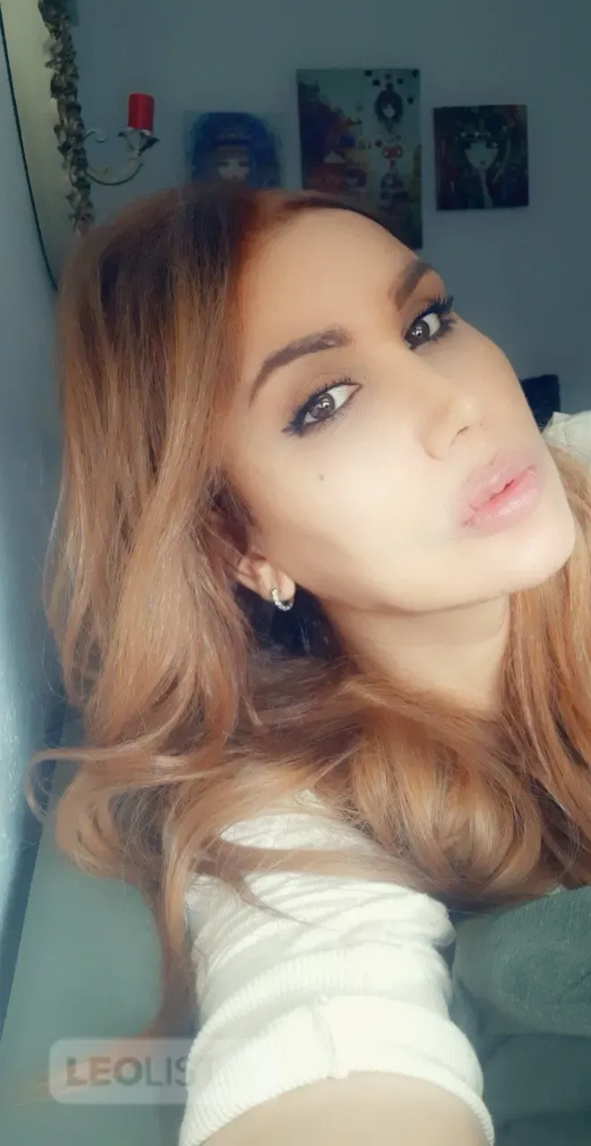 Escorts Mississauga, Ontario Hung
