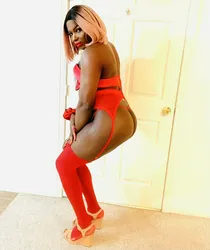 Escorts Portland, Maine TS COCO VANESSA