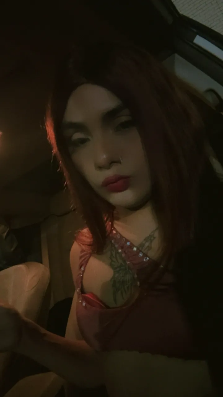 Escorts Dallas, Texas Katy