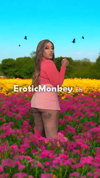 Escorts Vallejo, California Creole Kayceeee