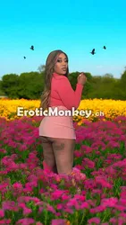 Escorts Vallejo, California Creole Kayceeee