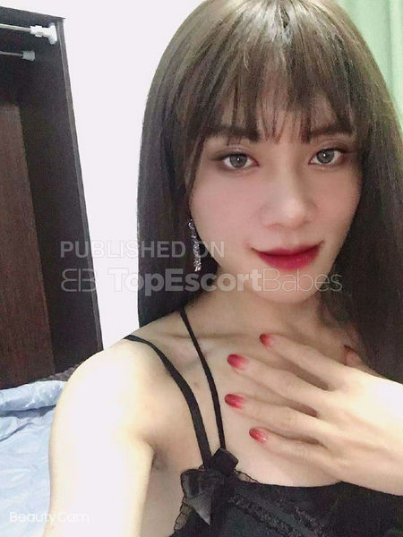 Escorts Shanghai, China Venus ladyboy