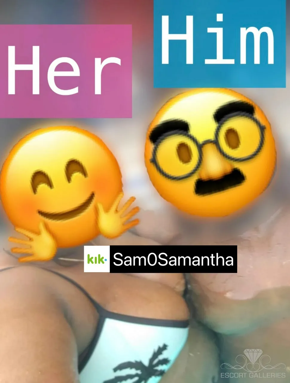 Escorts New York City, New York null