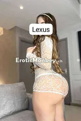 Escorts Houston, Texas Lexus