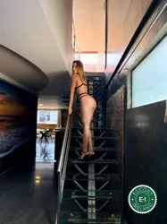 Escorts Dublin, Ireland Jade