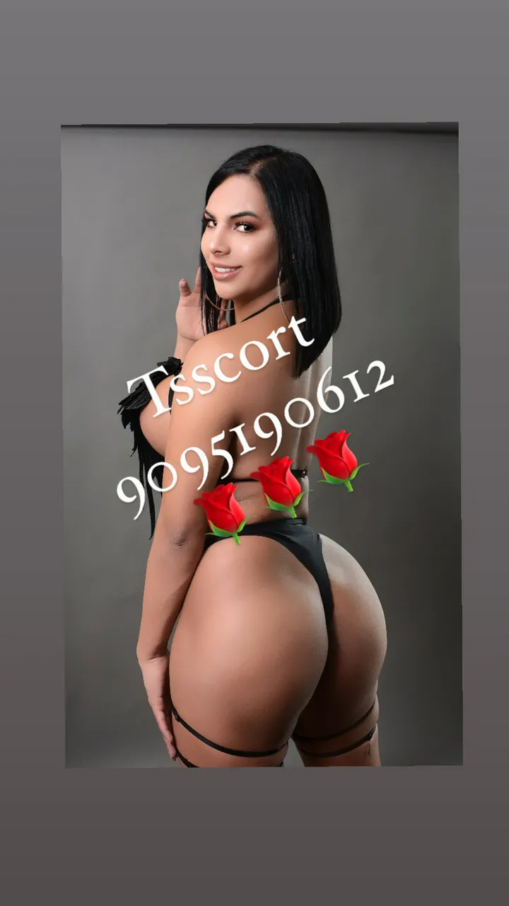 Escorts Denver, Colorado ⭐️🌹AVAILABLE NOW🌹