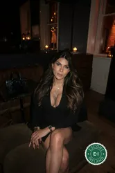 Escorts Dublin, Ireland TS Luna XXL