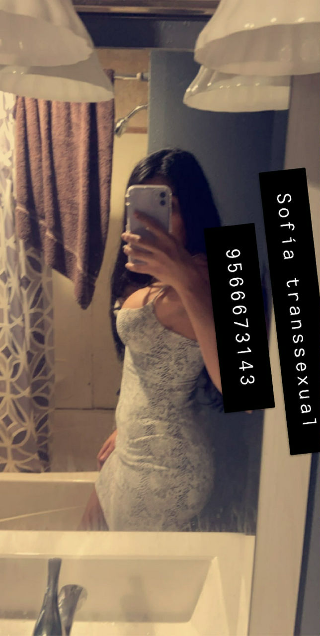 Escorts In Mcallen Tx