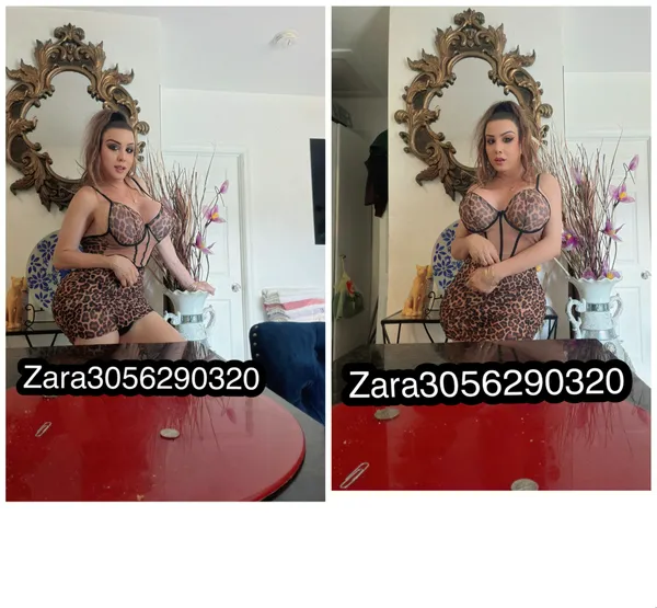 Escorts Miami, Florida Zara FTshow💰50