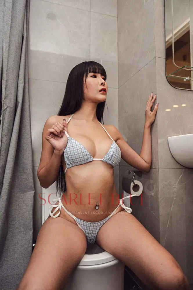 Escorts Melbourne, Australia Mifiya 


