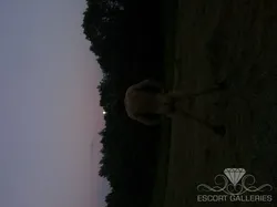 Escorts Bielefeld, Germany Johannes