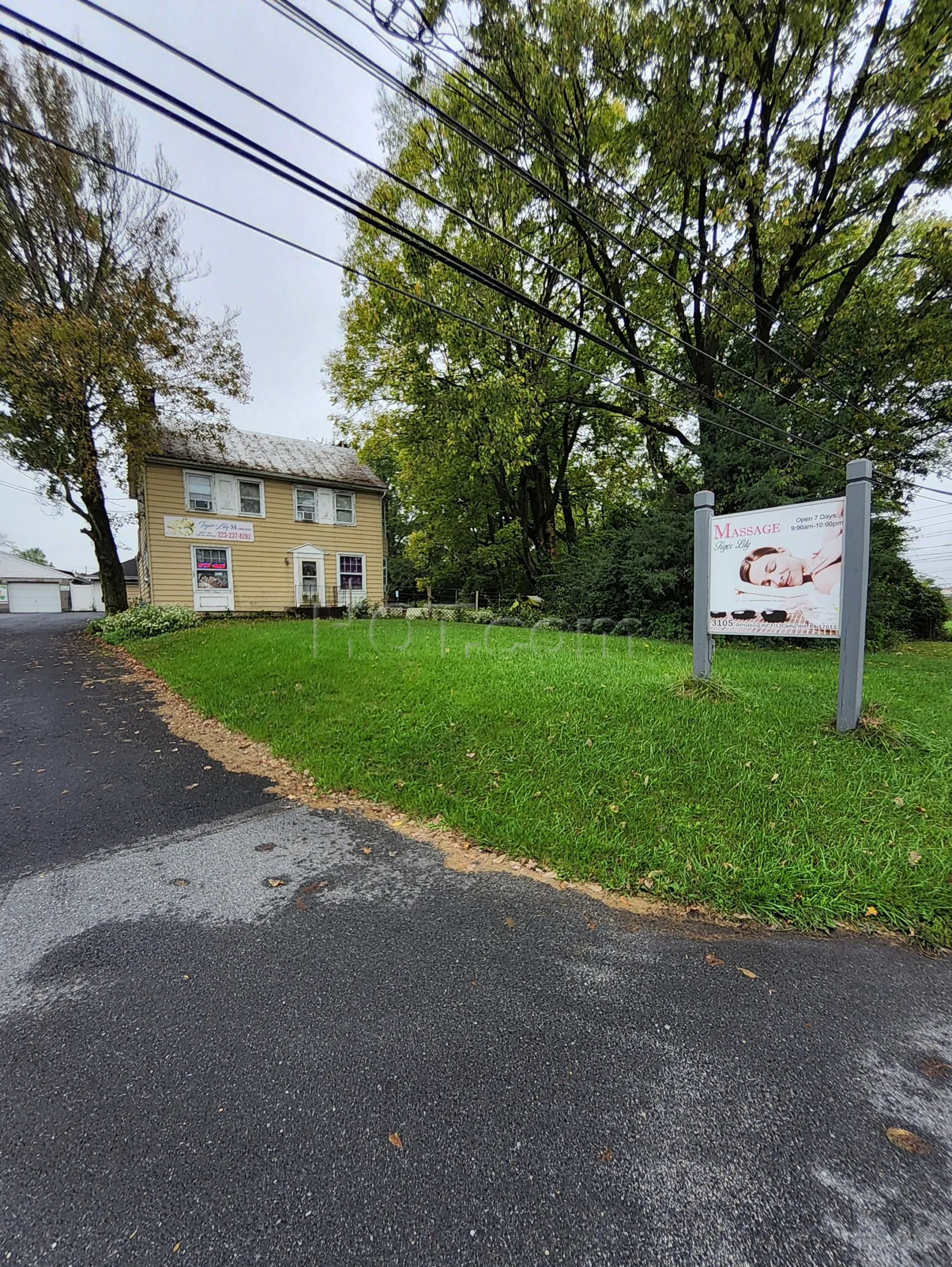 Camp Hill, Pennsylvania Tiger Lily Massage