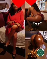 Escorts Louth, Ireland Sweet Honey