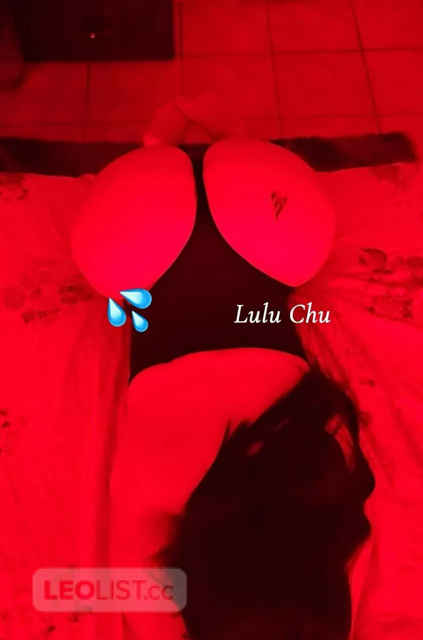 Escorts North York, Ontario 8 latinas available