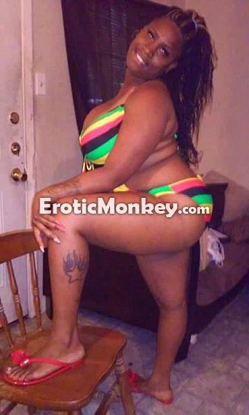 Escorts Fort Worth, Texas Stallion