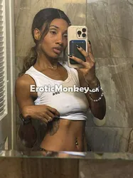 Escorts Tampa, Florida TheGoldenDoe