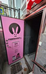 Saint Petersburg, Russia Pink Rabbit