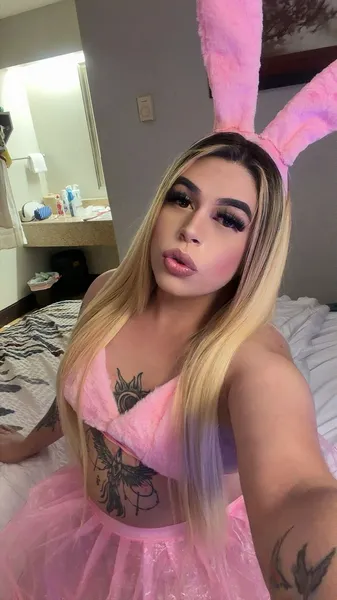 Escorts Manassas, Virginia Karlihet 🇨🇴😈