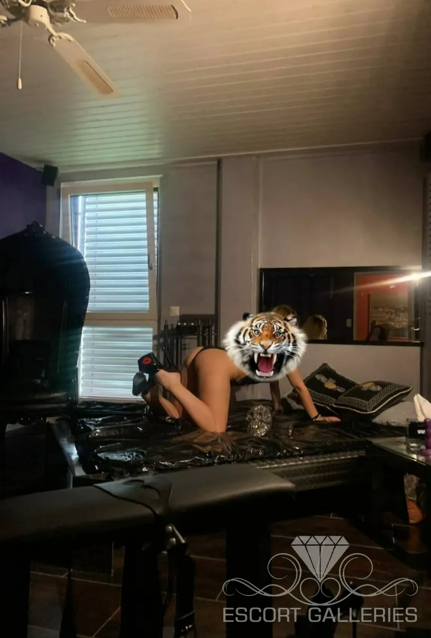 Escorts Frankfurt am Main, Germany Ela