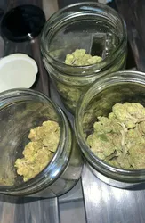 Escorts Richmond, British Columbia 🍆🍑Escort Sells Weed & Drugs !!! percs 💦 CUm 💦 Fuck me baby !!🍑🍆