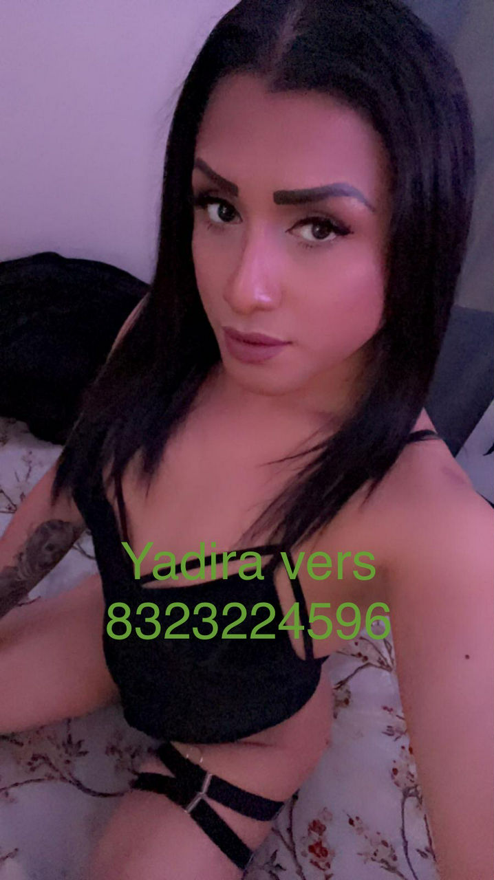 Escorts New Haven, Connecticut hot milkmaid vers🤤