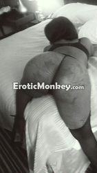 Escorts Charlotte, North Carolina Lavish