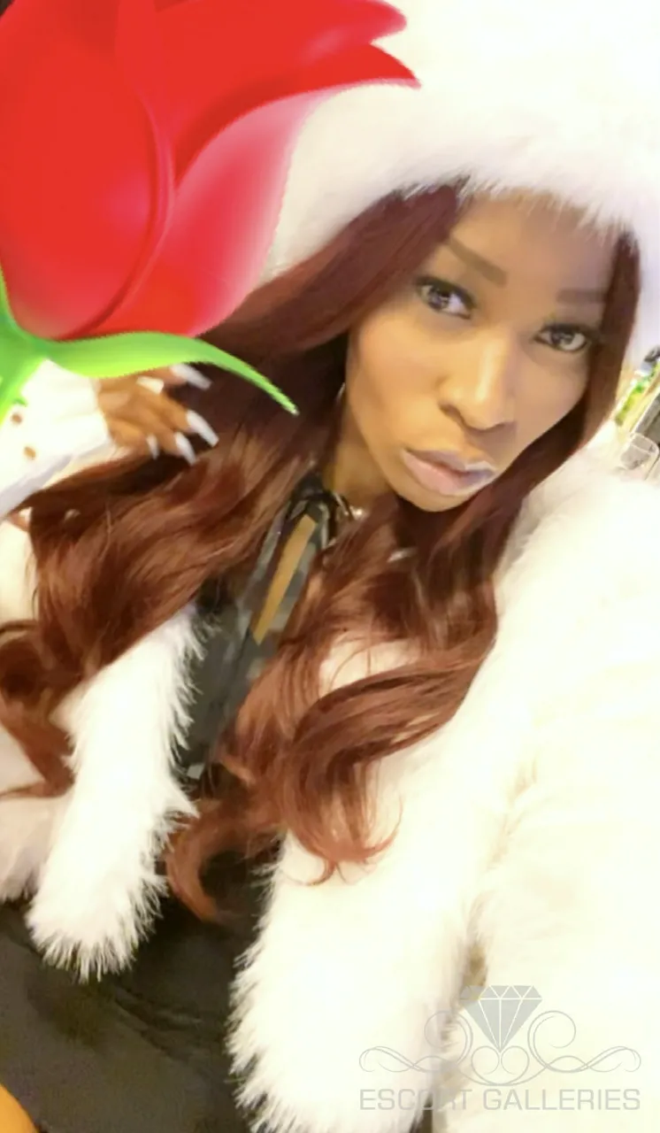 Escorts Hasselt, Belgium Bella Rose