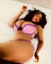 Escorts Dieppe, France Chatte