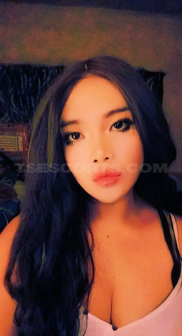 Escorts Manila, Philippines Dominant, top