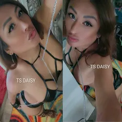 Escorts Dallas, Texas Daisy