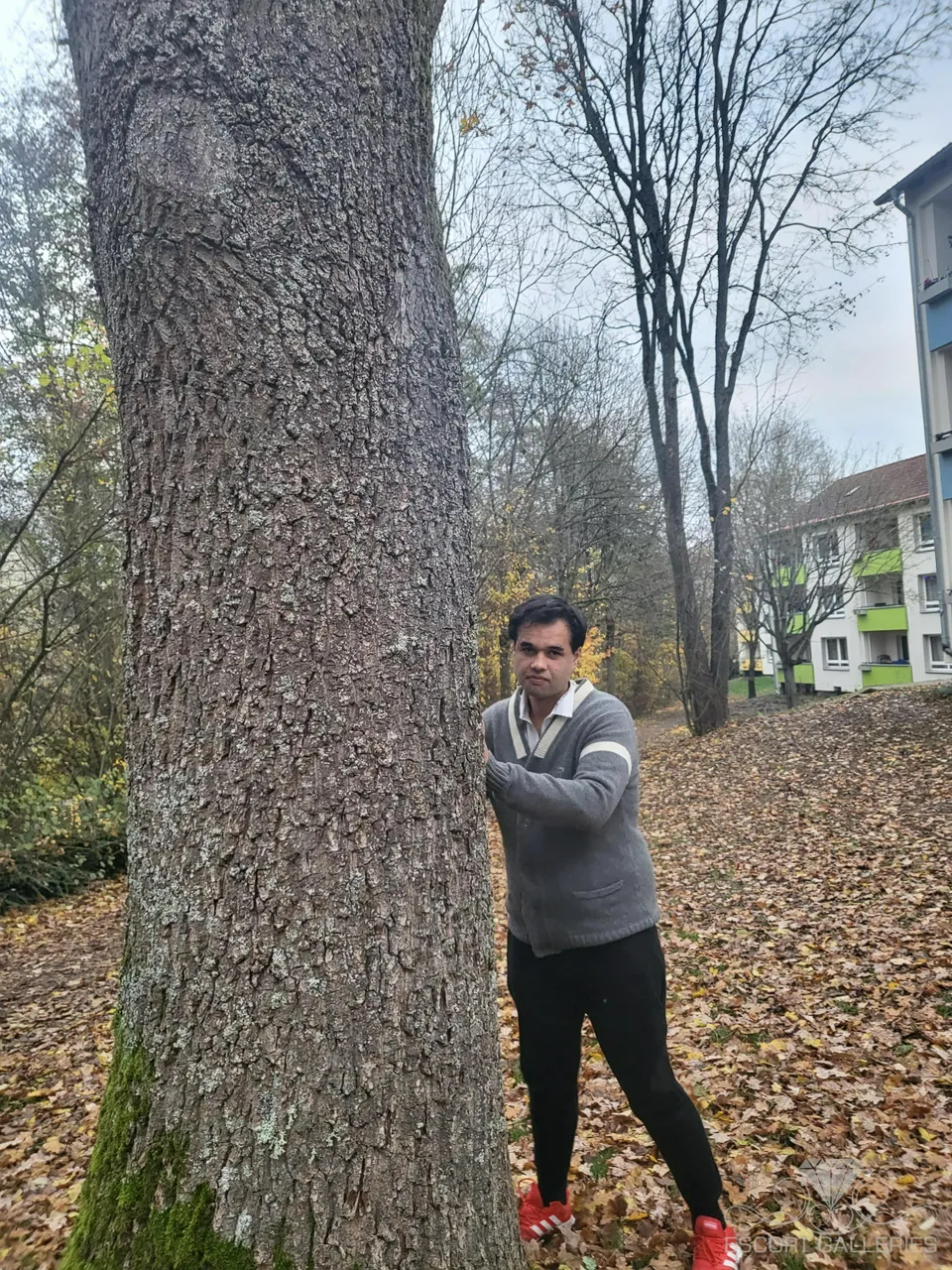 Escorts Bad Oeynhausen, Germany Rusty32