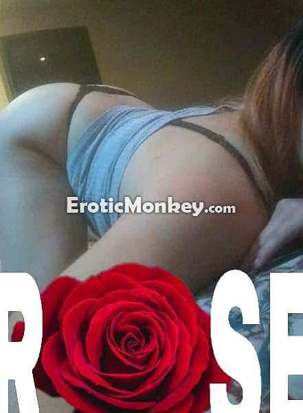 Escorts Chattanooga, Tennessee Rose
