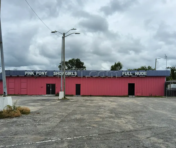 Strip Clubs Tampa, Florida Pink Pony Gentleman's Club