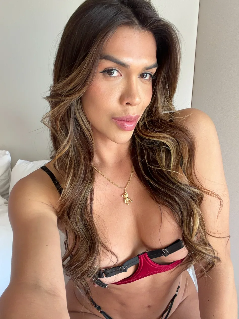 Escorts Long Island City, New York Planview TS TOP 🍆