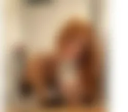 Escorts Plymouth, England 🇧🇷 ISA BRAZILIAN ✨ VERY HOT 🫦🔥🎉🎉