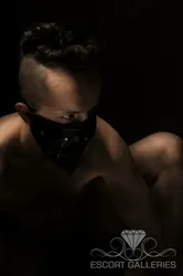 Escorts Leipzig, Germany Alex