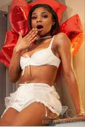 Escorts Dallas, Texas India