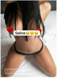 Escorts North York, Ontario Hi papi 5 girls available for you