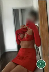Escorts Dublin, Ireland Ariana Ash