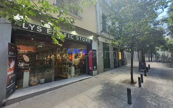 Sex Shops Madrid, Spain Lys Erotic Store