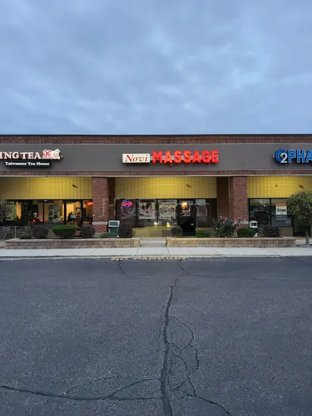 Massage Parlors Novi, Michigan Novi Massage